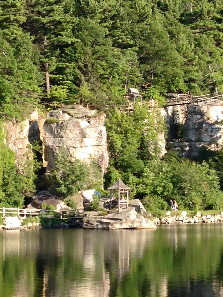 green trees on and around rock cliffs