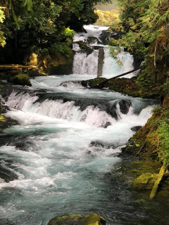 river with water fall in lush forest