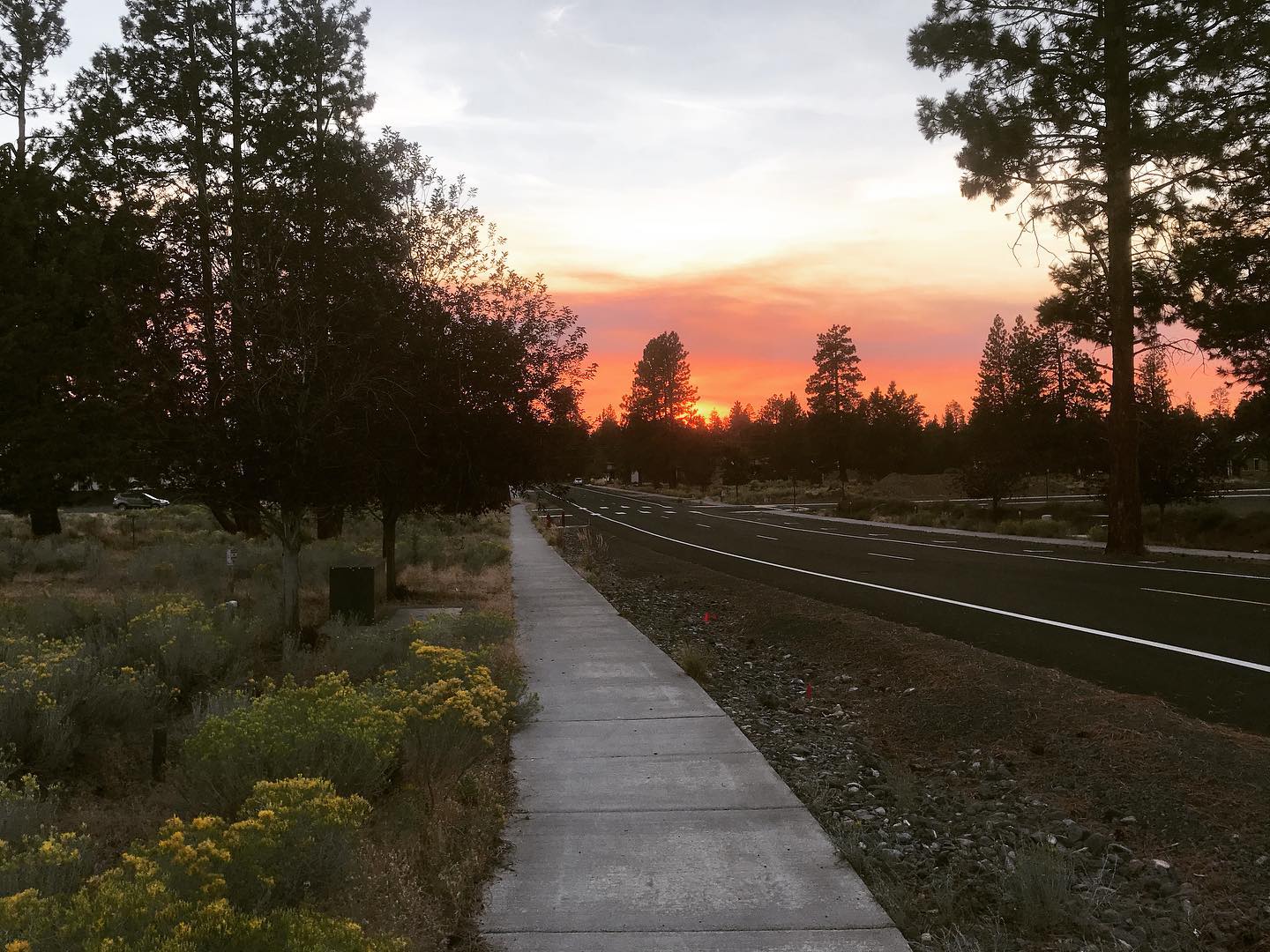sunset at end of a sidewalk