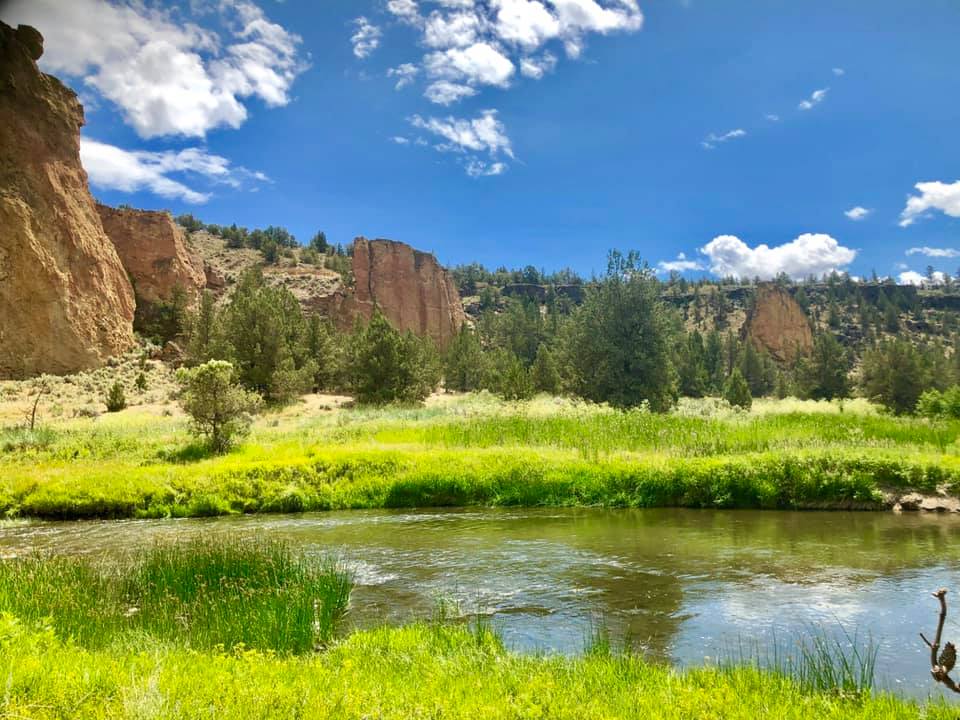 lush river with green riverbank