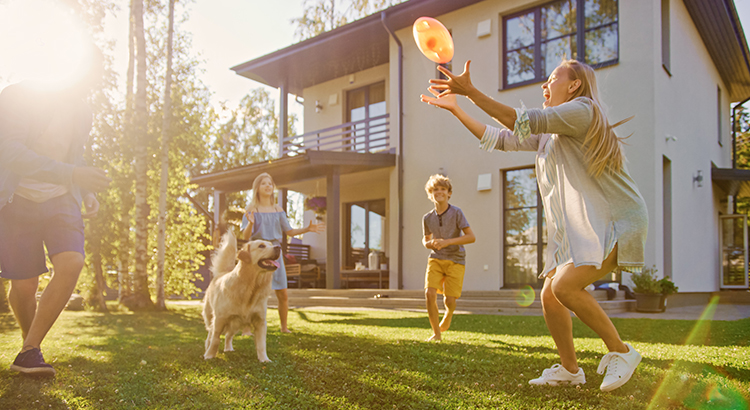 Family of Four Play Catch with toy ball and golden retriever