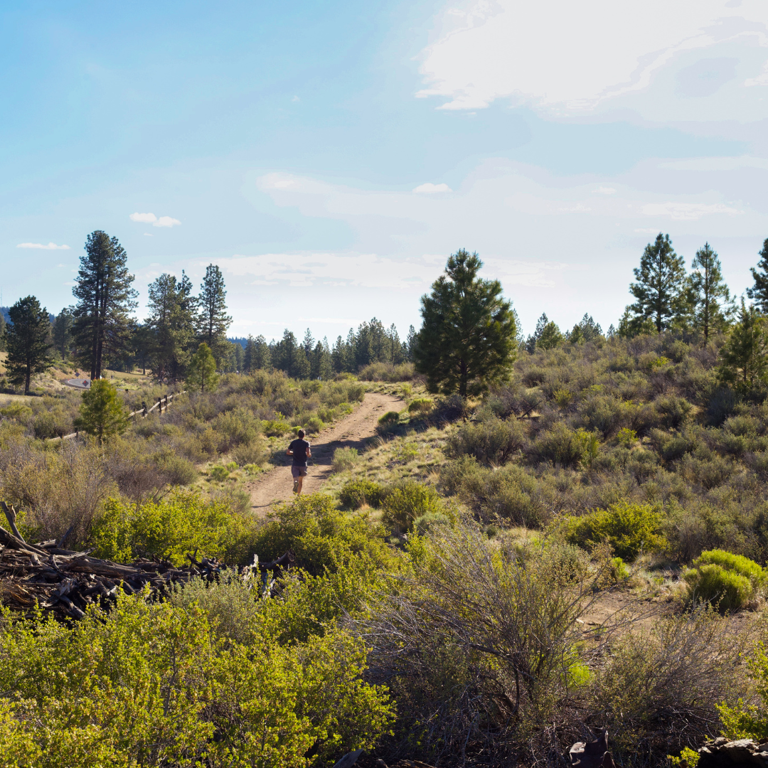 dirt running trail