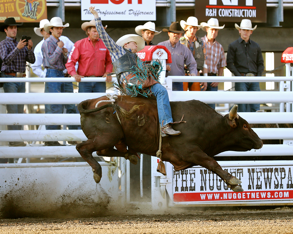 rider on a bull